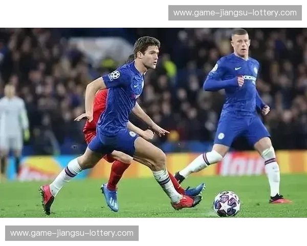 海鸥之翼，蓝月之魂：布莱顿与曼城，一场足球的诗与远方